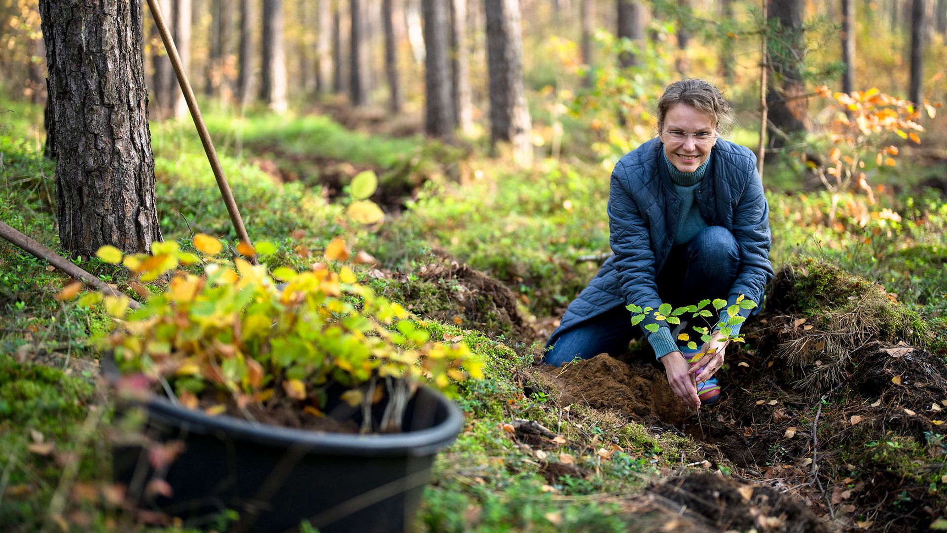DB-Mitarbeiterin pflanzt Baum in Wald.