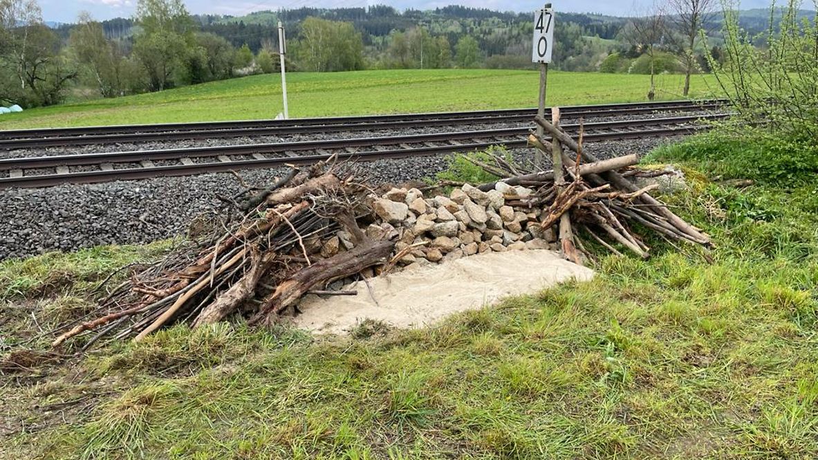 Ein Ersatzhabitat für Eidechsen an der Bahnstrecke zwischen Marktredwitz und Wiesau in Bayern