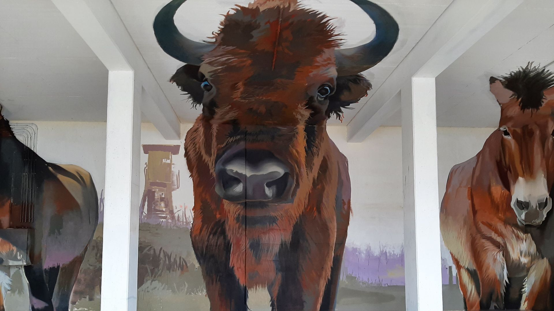 3D- Zeichnung von Wisenten und Przewalski-Pferden an der Wand der alten Bunkeranlage auf dem Muna-Gelände.