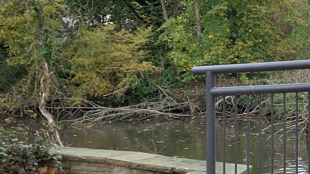 Wehr mit Hochwasserschutzwand