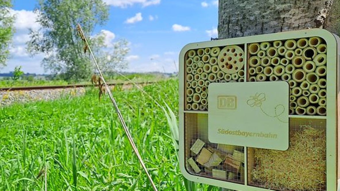 Insektenhotel der Südostbayernbahn
