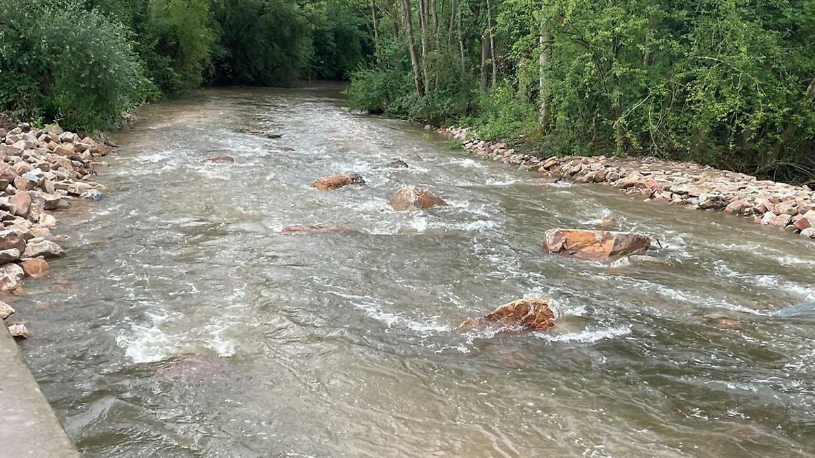 Strömung im Fluss Nidda