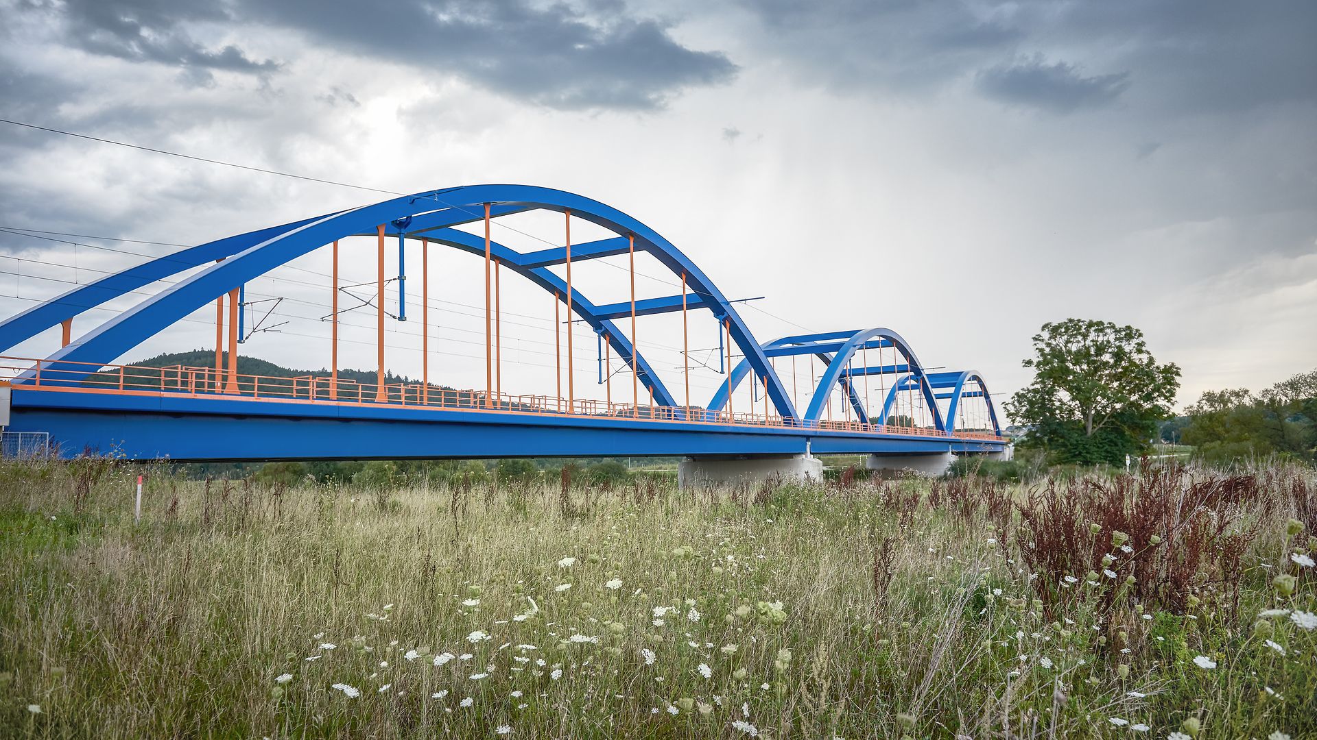 Eine Eisenbahnbrücke überspannt eine Flussmulde, in der ein Biotop entstanden ist. 