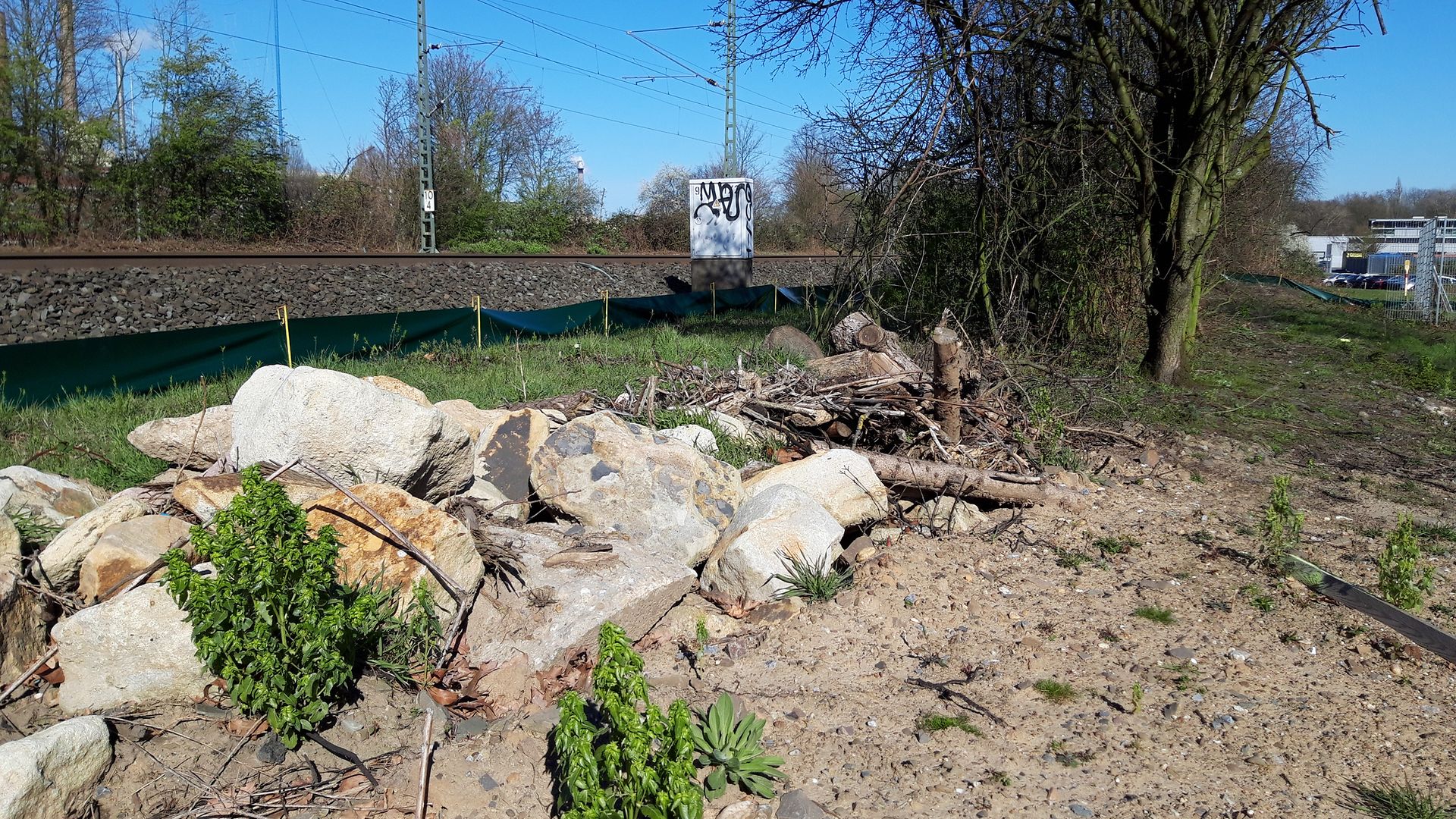 Newly created habitat for sand lizards along the railway tracks consisting of gravel, sand and dead wood