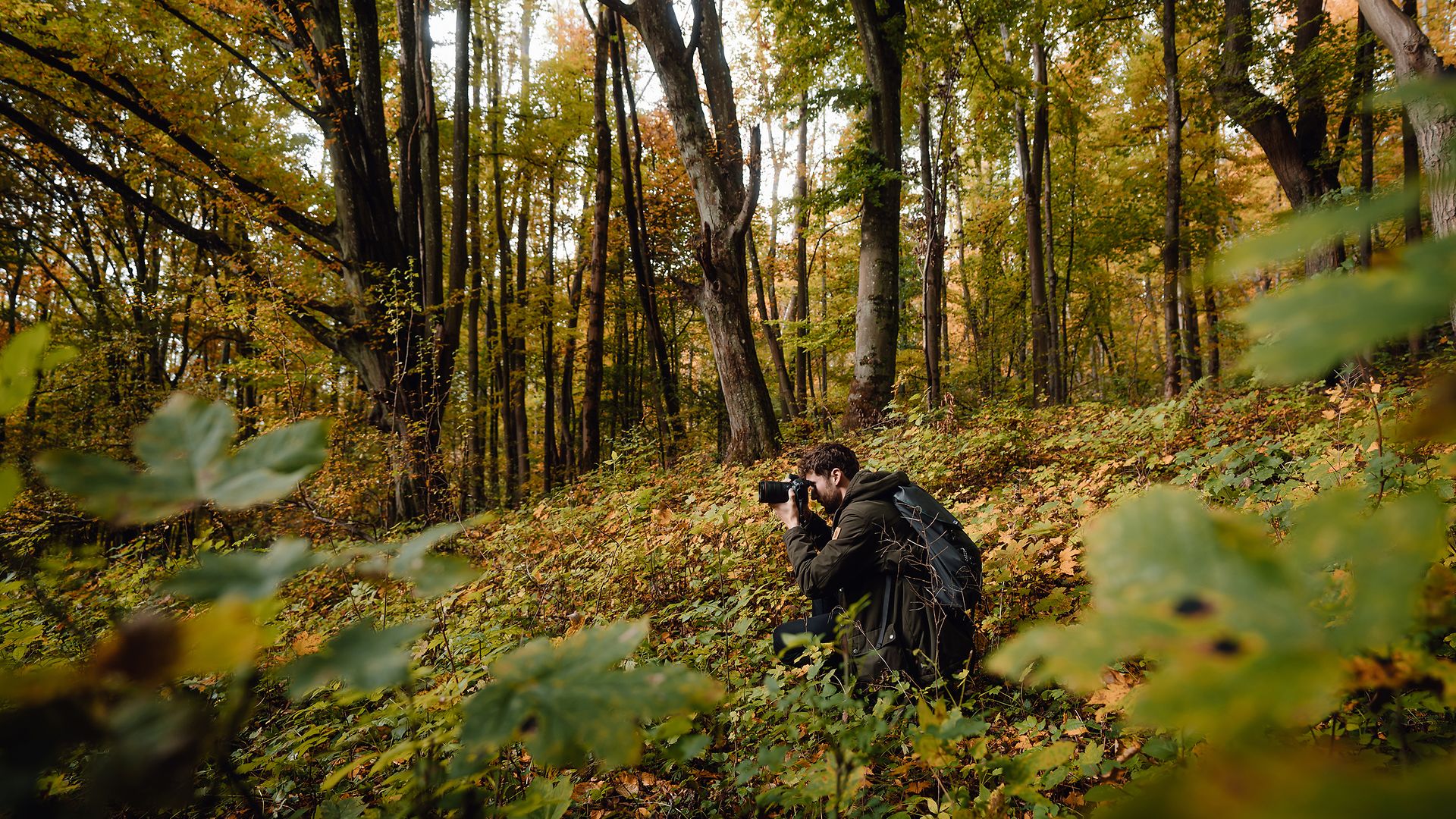 The photographers of the "German Roamers" were on their way in the forest.