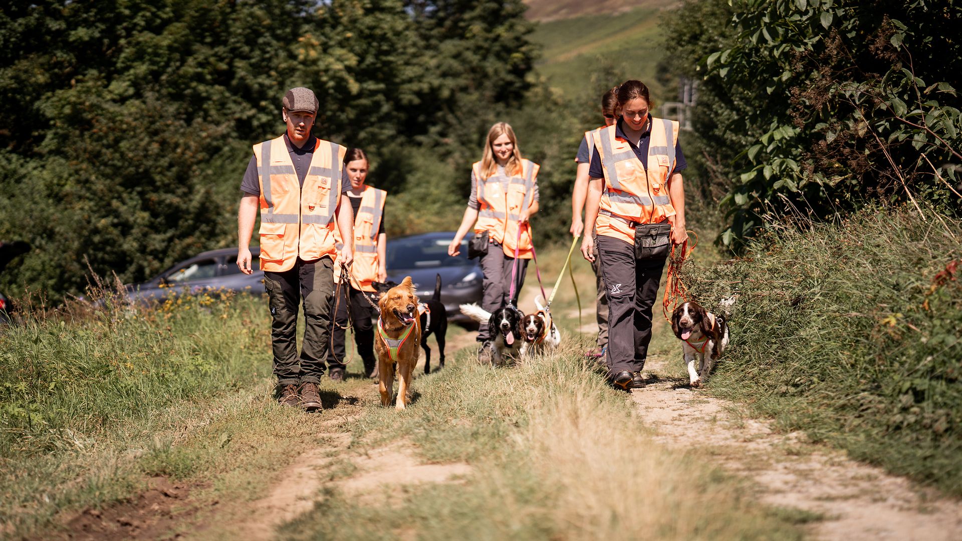 DB service dog handler with species detection dogs on a dirt road