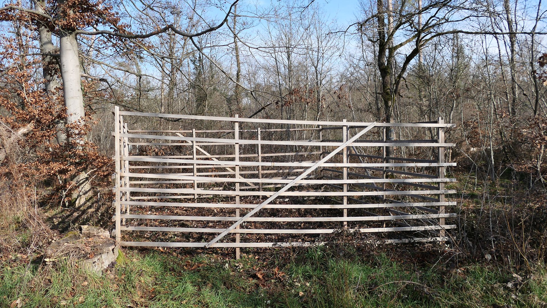 A so-called horde gate in a forest