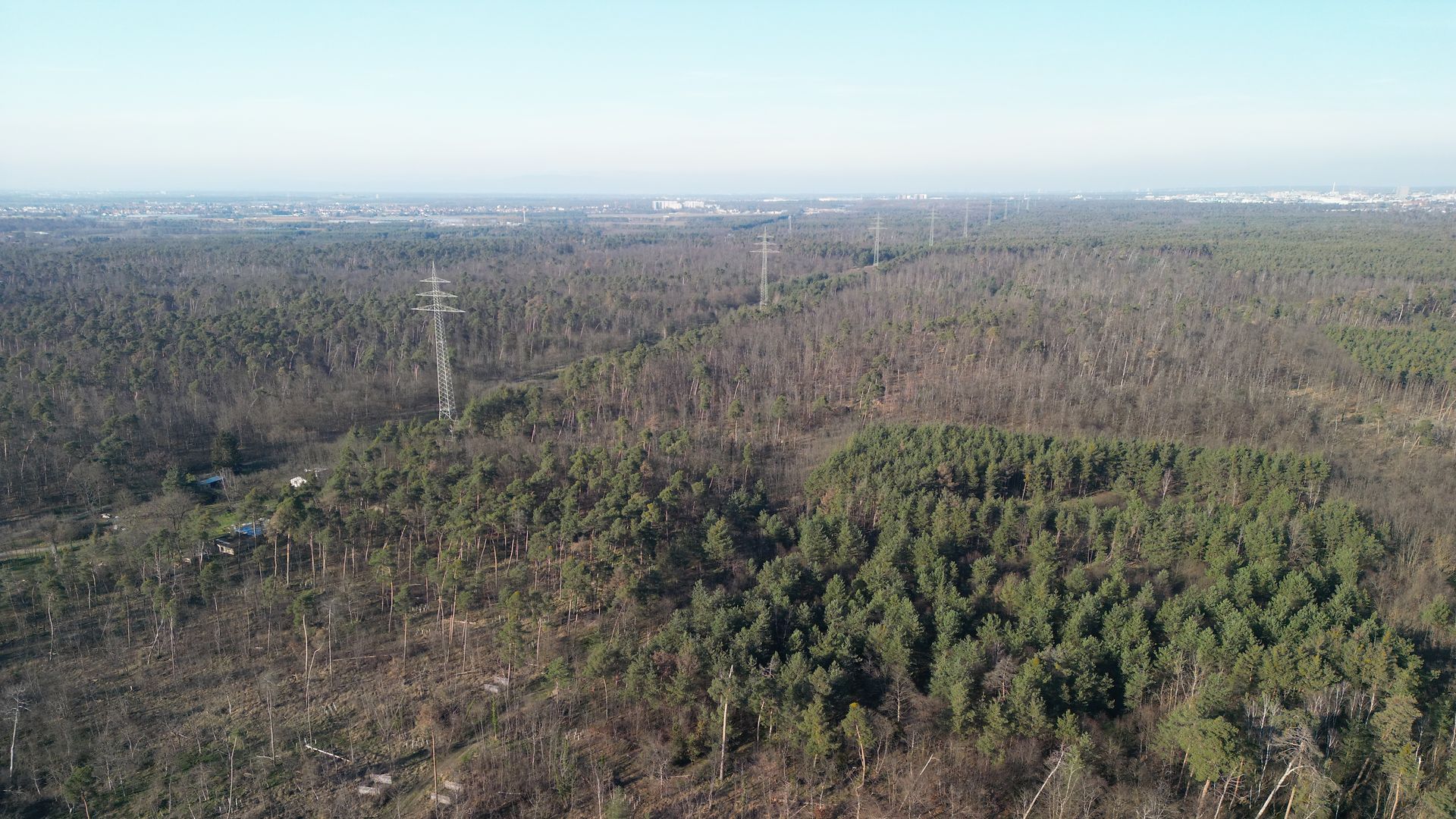Aerial photograph of Pfungstadt forest