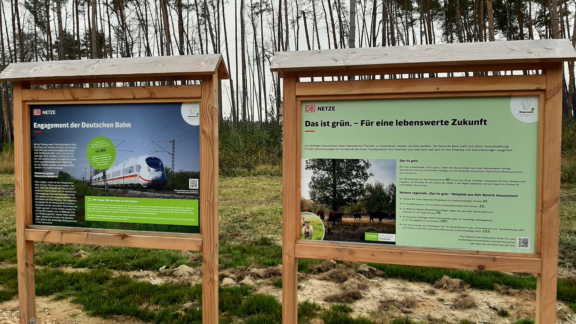 Two wooden information boards along the way explain the nature trail project.