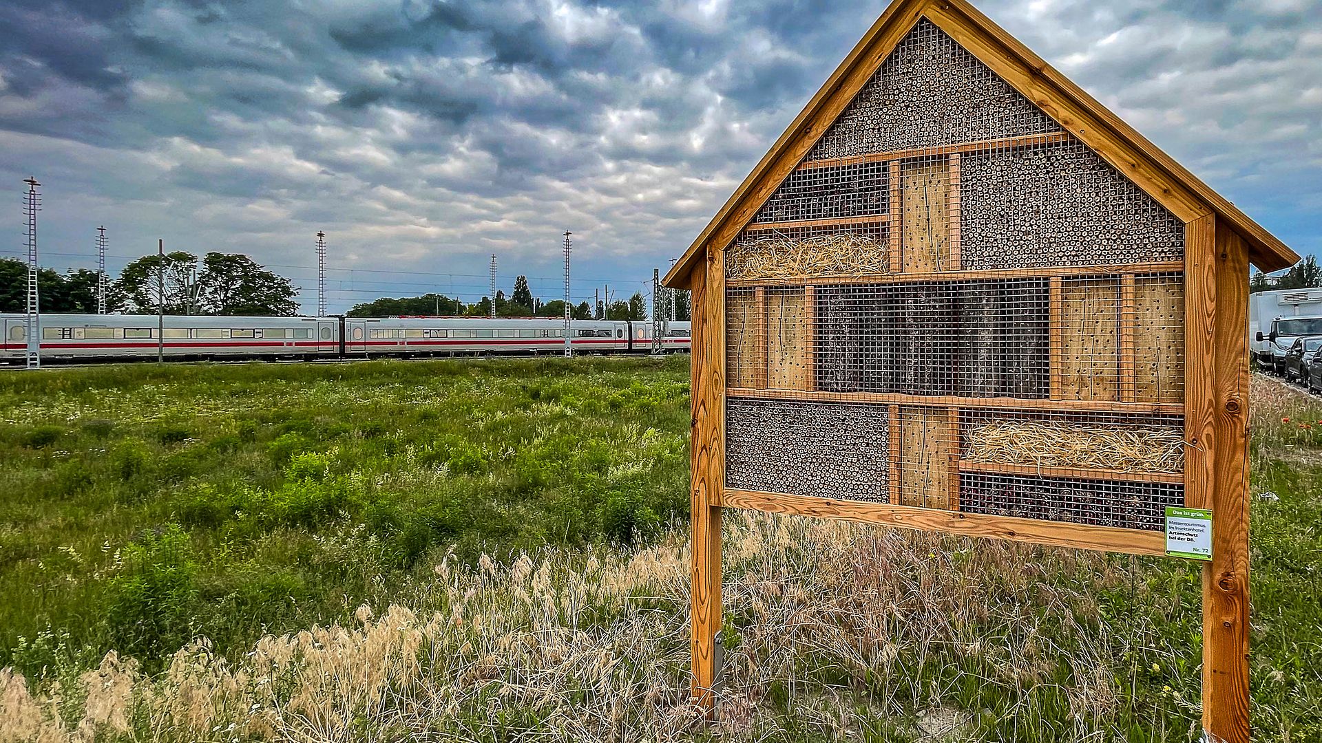 An insect hotel stands in front of a rainwater infiltration area with wildflowers.