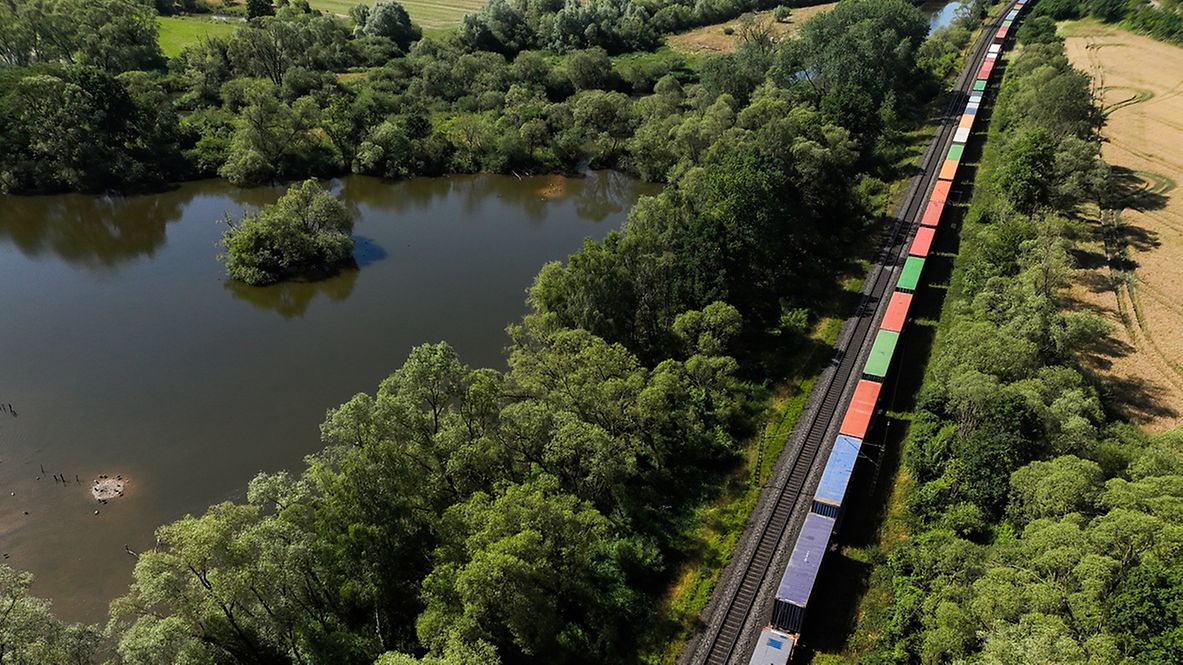A container train travels through a green landscape alongside a body of water.