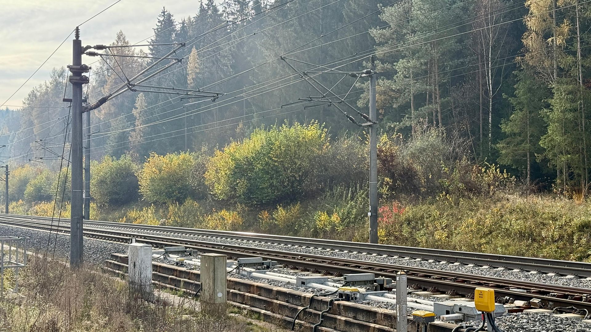 Bushes and trees line a railroad track